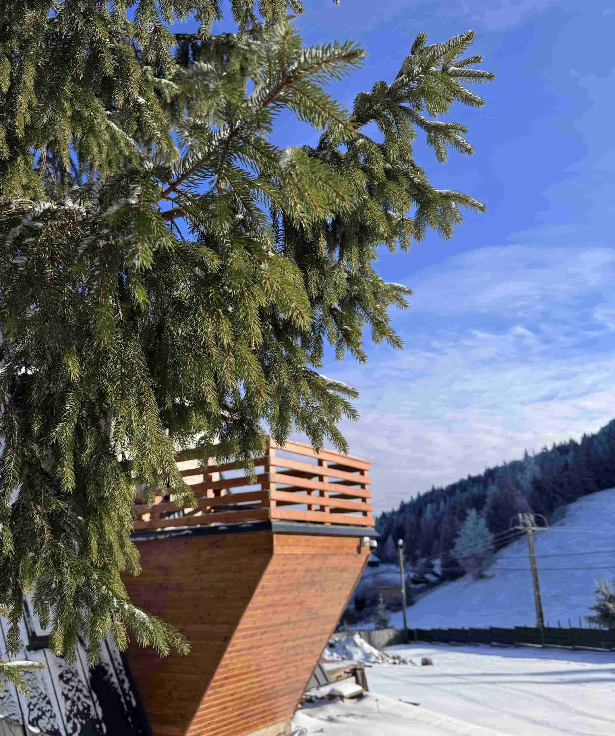 Cabană Red Lake Village