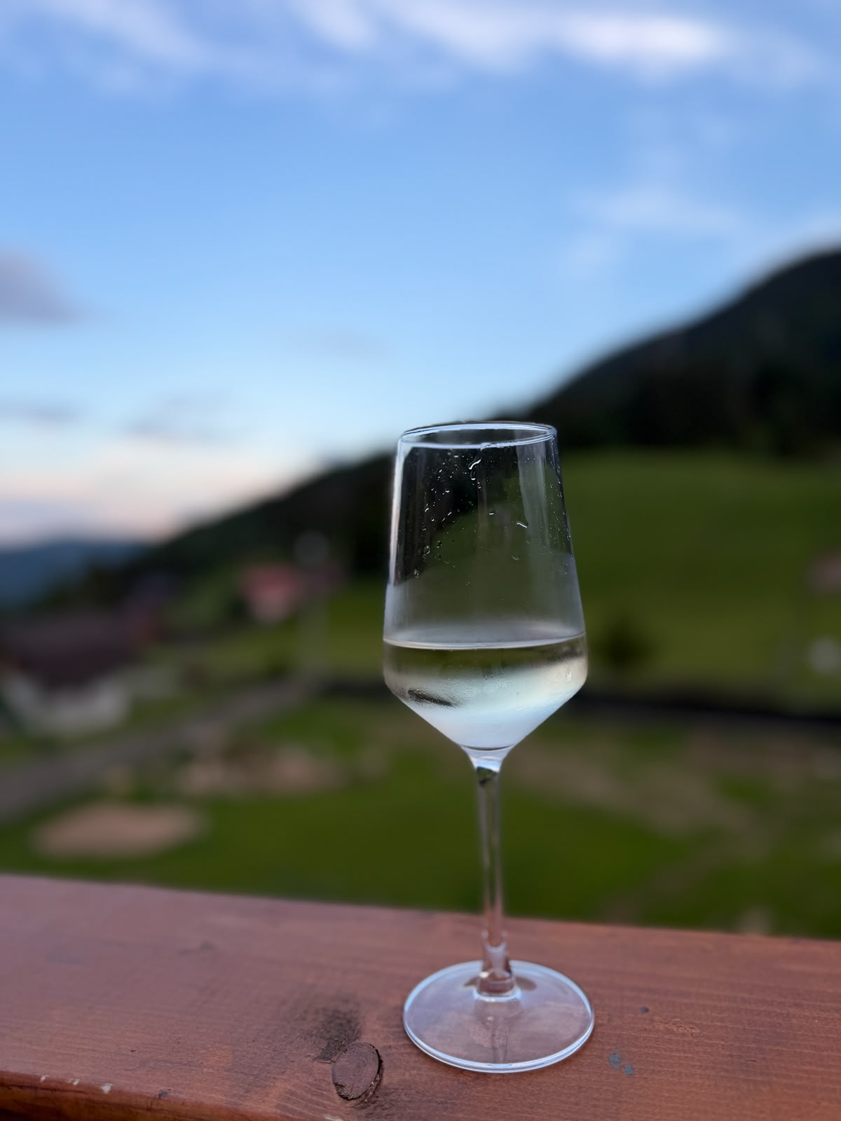 Terasă la Etaj cu View
